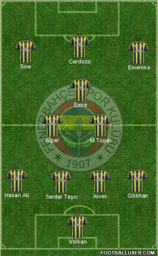 Fenerbahçe SK Formation 2013