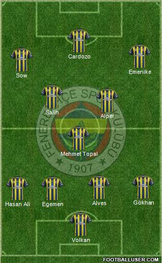 Fenerbahçe SK Formation 2013