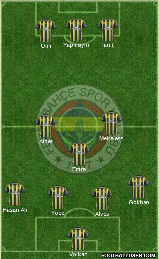 Fenerbahçe SK Formation 2013