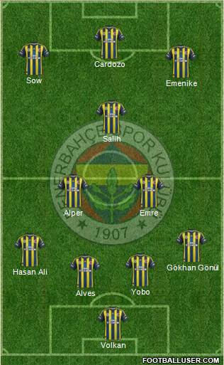 Fenerbahçe SK Formation 2013