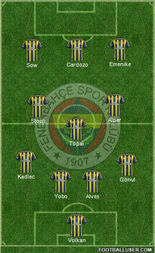 Fenerbahçe SK Formation 2013