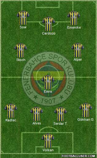 Fenerbahçe SK Formation 2013