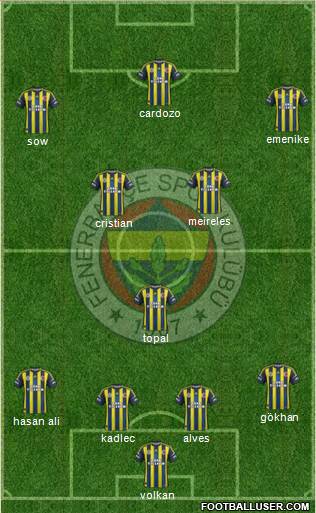 Fenerbahçe SK Formation 2013