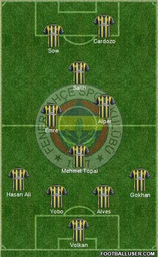 Fenerbahçe SK Formation 2013