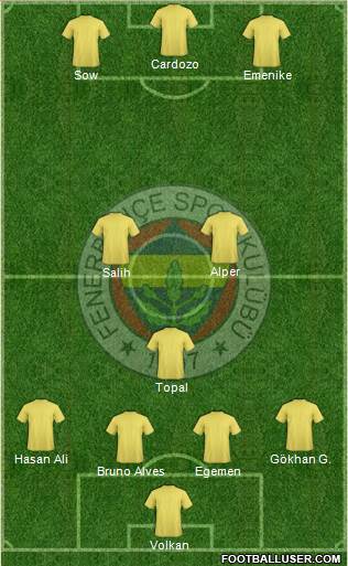 Fenerbahçe SK Formation 2013