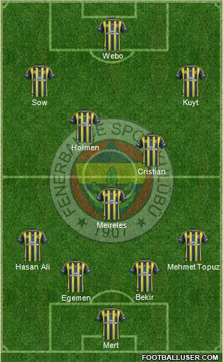 Fenerbahçe SK Formation 2013