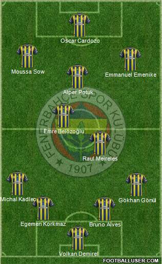 Fenerbahçe SK Formation 2013