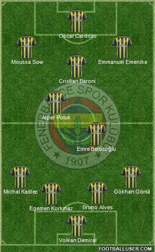 Fenerbahçe SK Formation 2013
