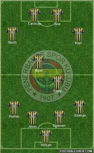 Fenerbahçe SK Formation 2013