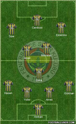 Fenerbahçe SK Formation 2013