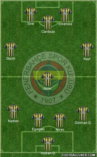 Fenerbahçe SK Formation 2013