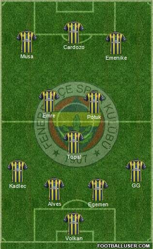 Fenerbahçe SK Formation 2013