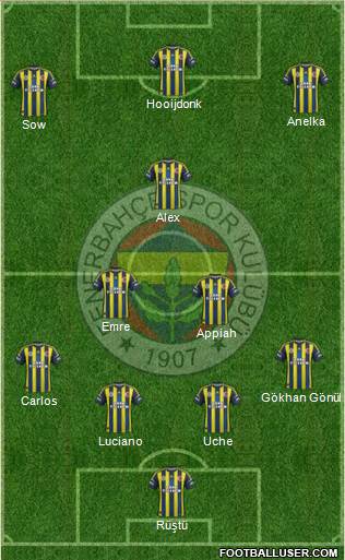 Fenerbahçe SK Formation 2013