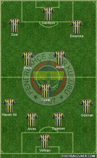 Fenerbahçe SK Formation 2013