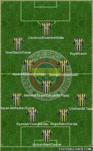 Fenerbahçe SK Formation 2013