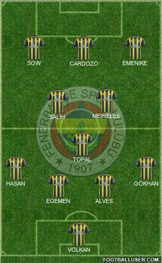 Fenerbahçe SK Formation 2013