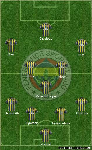 Fenerbahçe SK Formation 2013