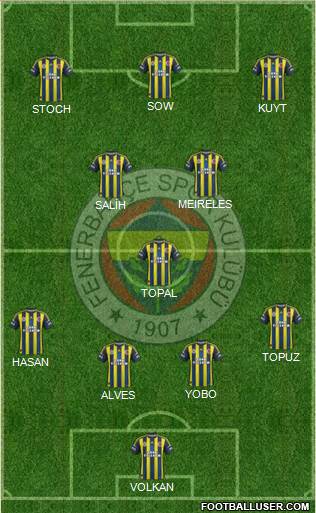 Fenerbahçe SK Formation 2013