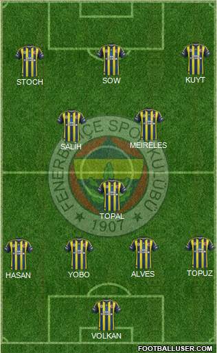 Fenerbahçe SK Formation 2013
