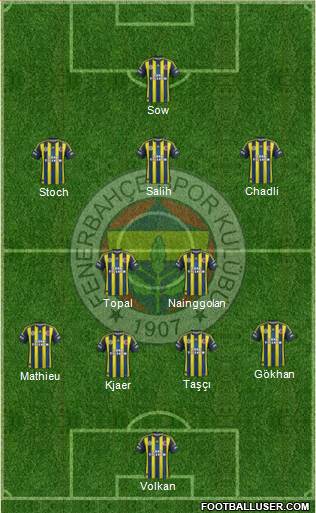 Fenerbahçe SK Formation 2013