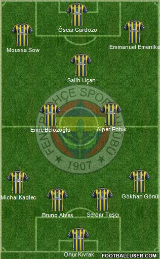 Fenerbahçe SK Formation 2013