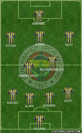 Fenerbahçe SK Formation 2013