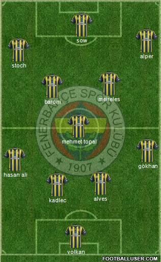 Fenerbahçe SK Formation 2013