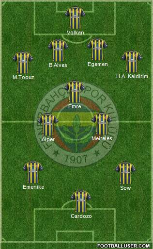 Fenerbahçe SK Formation 2013