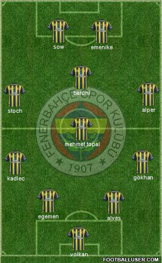 Fenerbahçe SK Formation 2013