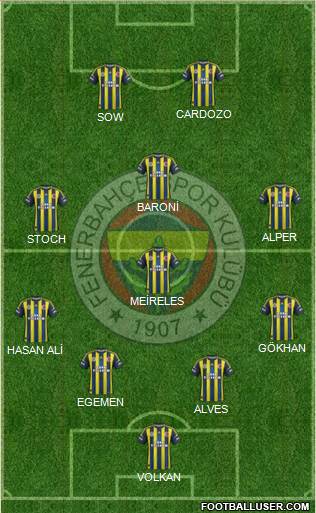 Fenerbahçe SK Formation 2013