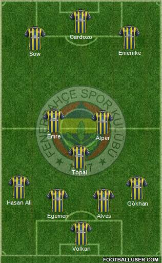 Fenerbahçe SK Formation 2013