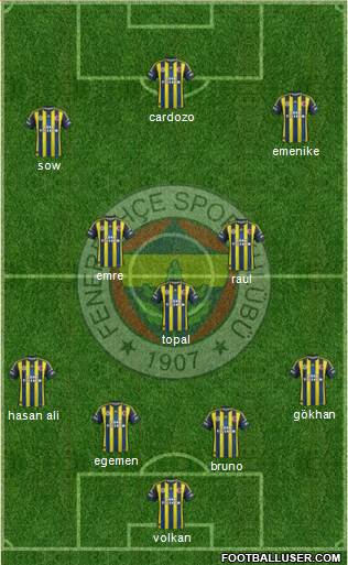 Fenerbahçe SK Formation 2013