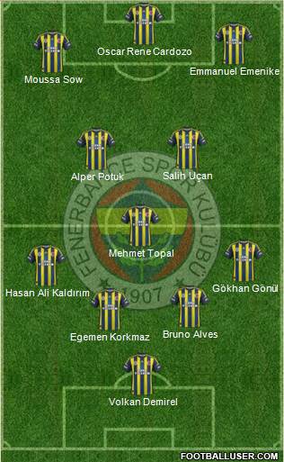 Fenerbahçe SK Formation 2013