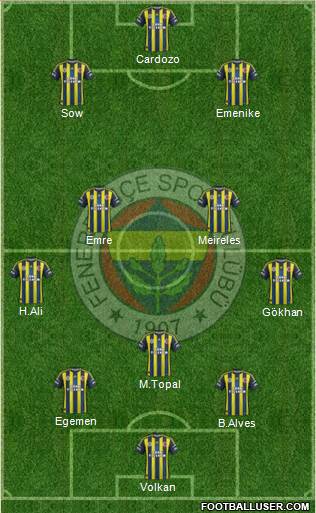 Fenerbahçe SK Formation 2013