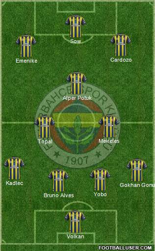 Fenerbahçe SK Formation 2013