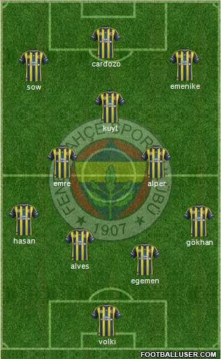 Fenerbahçe SK Formation 2013