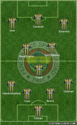 Fenerbahçe SK Formation 2013