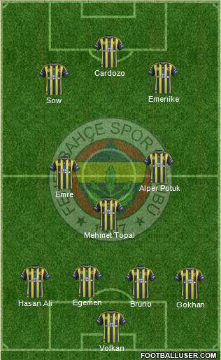 Fenerbahçe SK Formation 2013