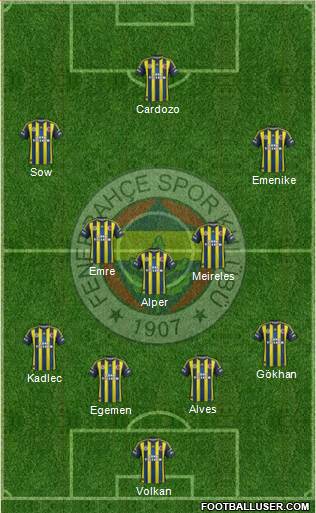 Fenerbahçe SK Formation 2013