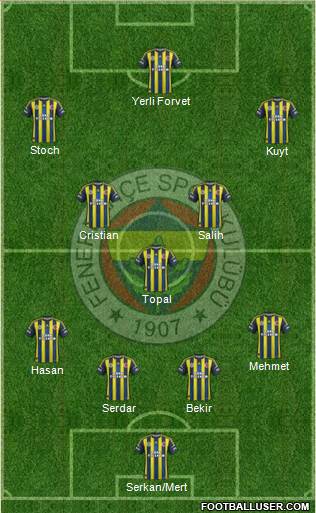 Fenerbahçe SK Formation 2013