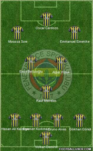 Fenerbahçe SK Formation 2013