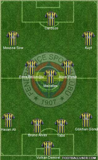 Fenerbahçe SK Formation 2013
