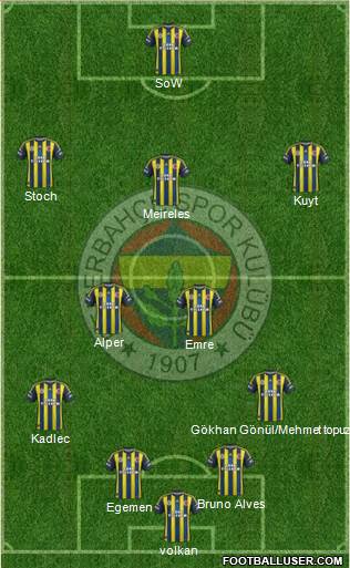 Fenerbahçe SK Formation 2013