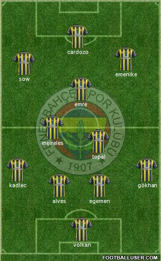 Fenerbahçe SK Formation 2013
