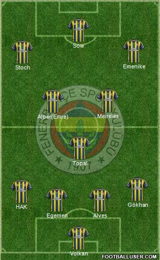 Fenerbahçe SK Formation 2013