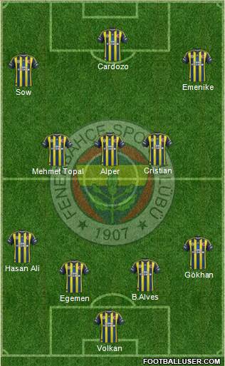 Fenerbahçe SK Formation 2013