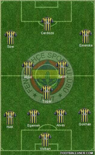 Fenerbahçe SK Formation 2013
