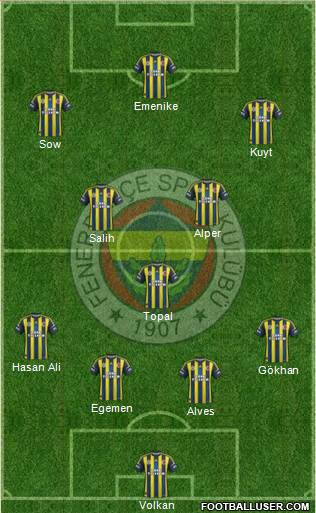 Fenerbahçe SK Formation 2013
