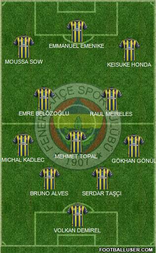 Fenerbahçe SK Formation 2013