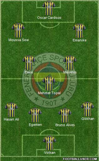 Fenerbahçe SK Formation 2013
